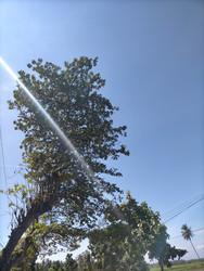 Similar image 22499018