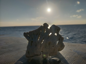 Similar image 22499036