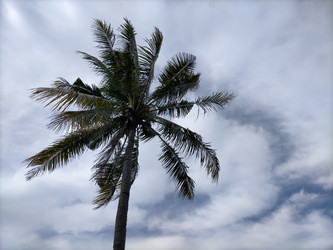 Similar image 22499048