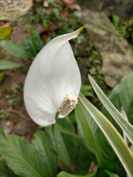 Similar image 22499360