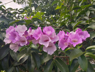 Similar image 22499375