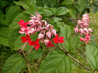 Similar image 22499391