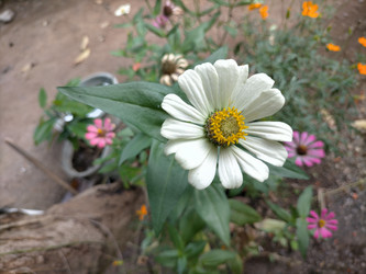 Similar image 22499448