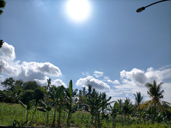 Similar image 22499449