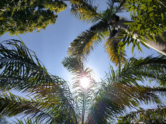 Similar image 22500946