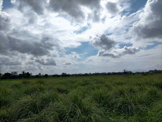 Similar image 22501280