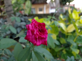 Similar image 22501289