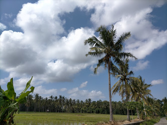 Similar image 22501305