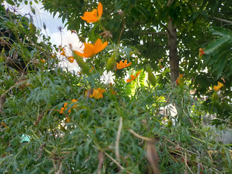 Similar image 22501317