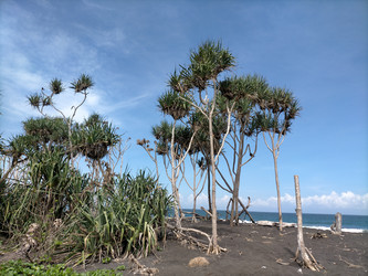 Similar image 22501318