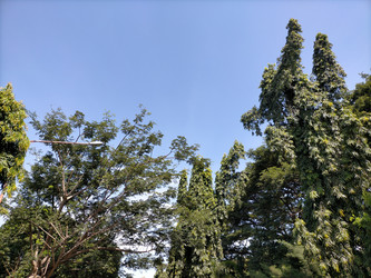 Similar image 22501336