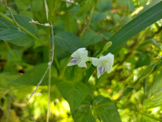 Similar image 22501350