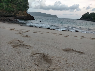 Similar image 22532557