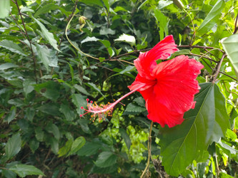 Similar image 22532597