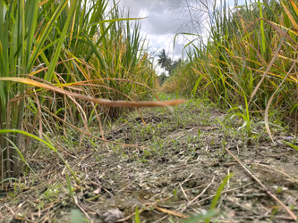 Similar image 22532618