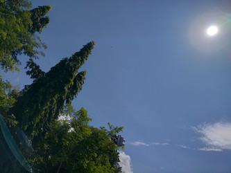 Similar image 22532639