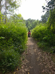 Similar image 22532657