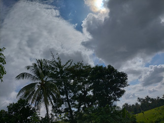 Similar image 22532659