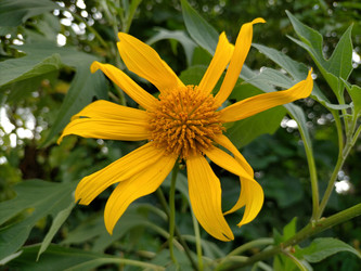 Similar image 22532727