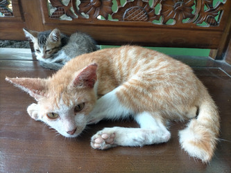 Similar image 22532745