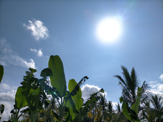 Similar image 22532746