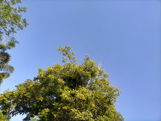 Similar image 22532770