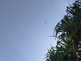 Similar image 22532772