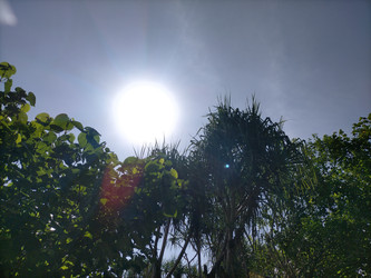 Similar image 22532792