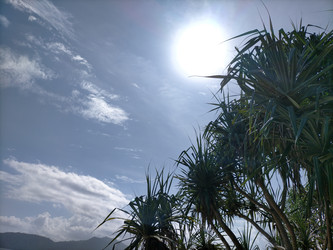 Similar image 22532813