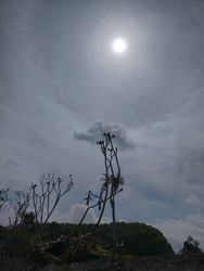 Similar image 22533199