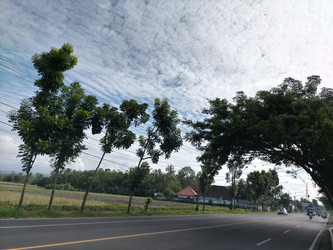 Similar image 22535684