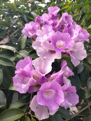 Similar image 22535702