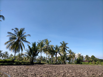 Similar image 22535714