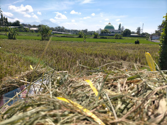 Similar image 22535715