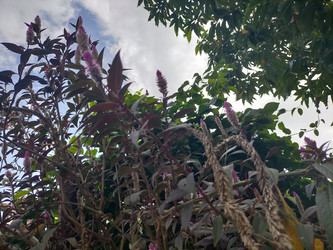 Similar image 22535733