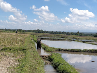 Similar image 22535747