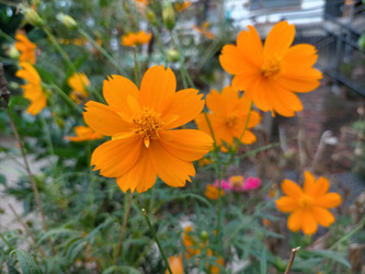 Similar image 22535791