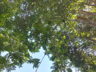 Similar image 22535807