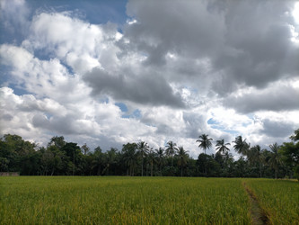 Similar image 22535852