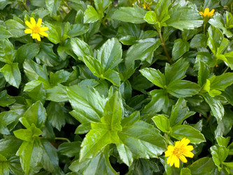 Similar image 22535853