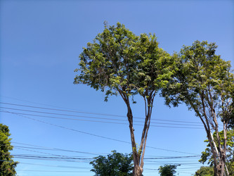 Similar image 22535911