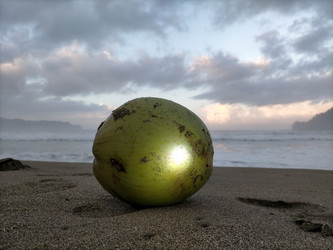 Similar image 22535926