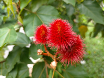 Similar image 22535956