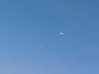 Similar image 22535970