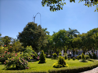 Similar image 22535984