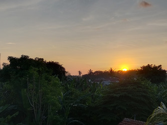 Similar image 22535985