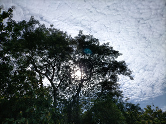 Similar image 22535999