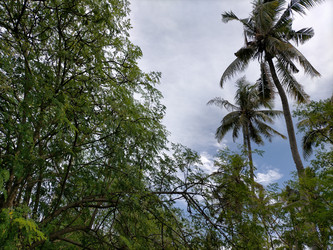 Similar image 22536000