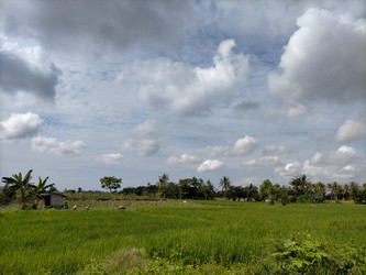 Similar image 22536033