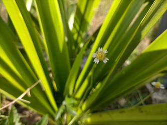 Similar image 22536076